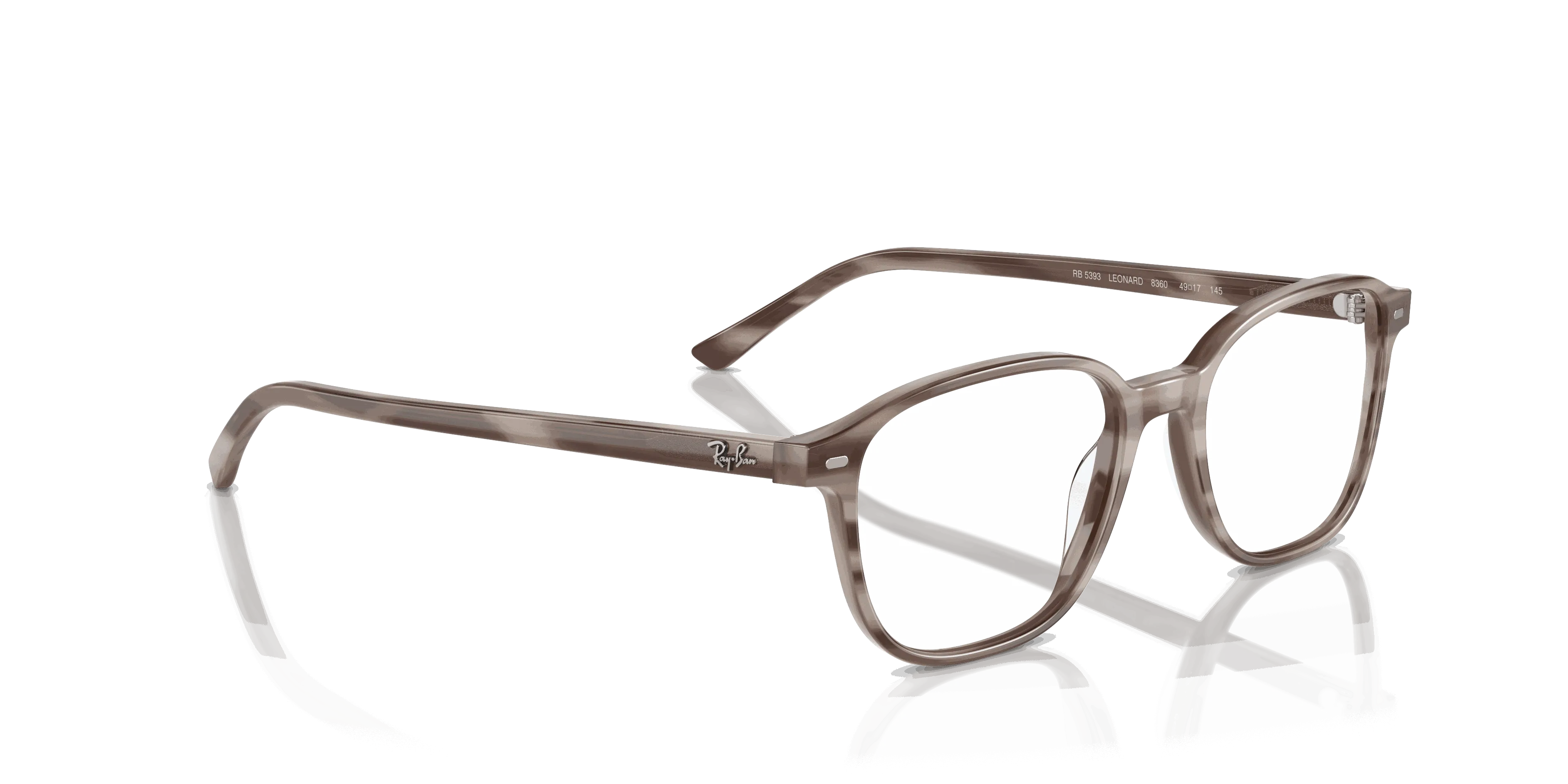 RayBan LEONARD OPTICS