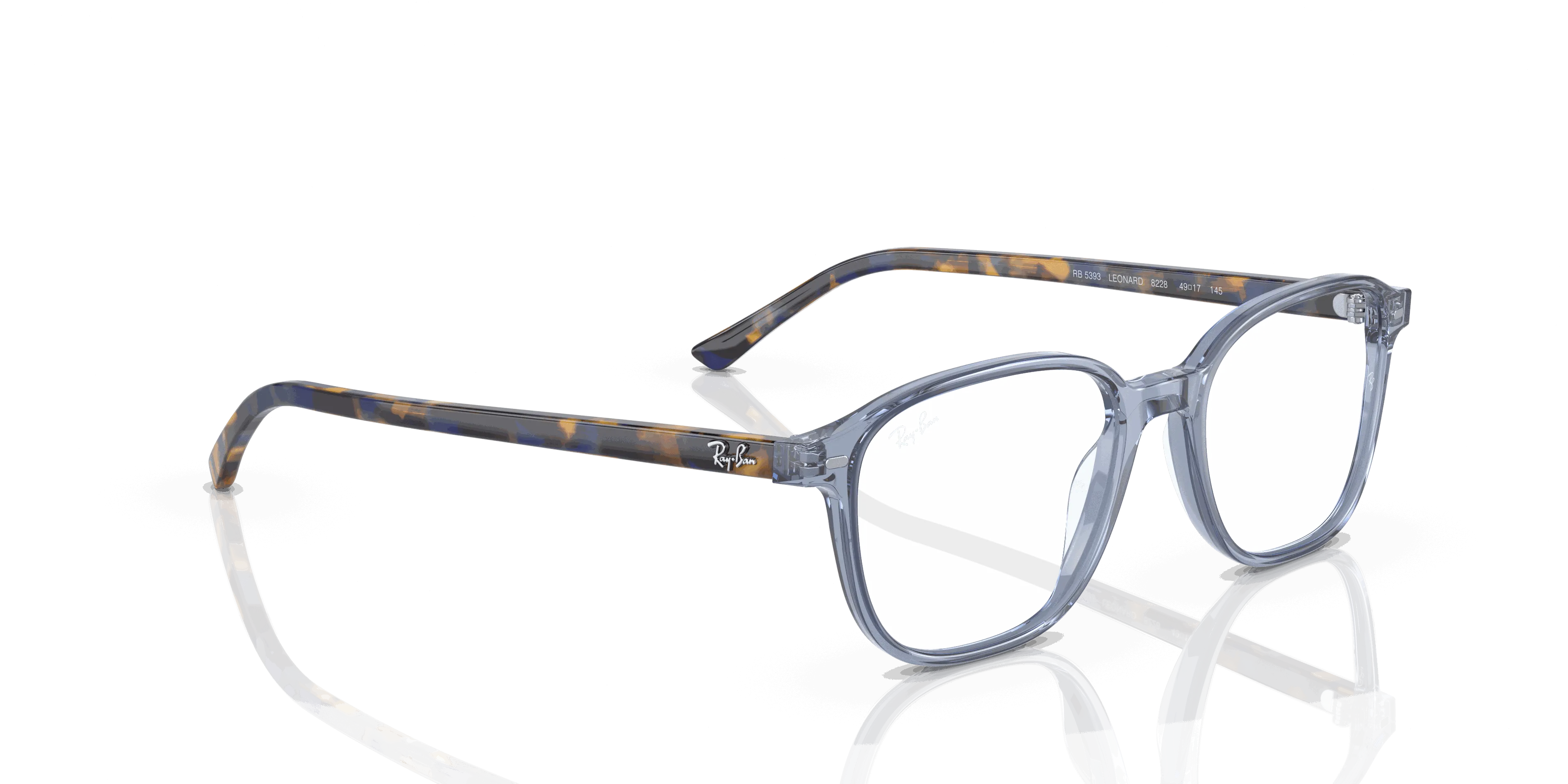 RayBan LEONARD OPTICS