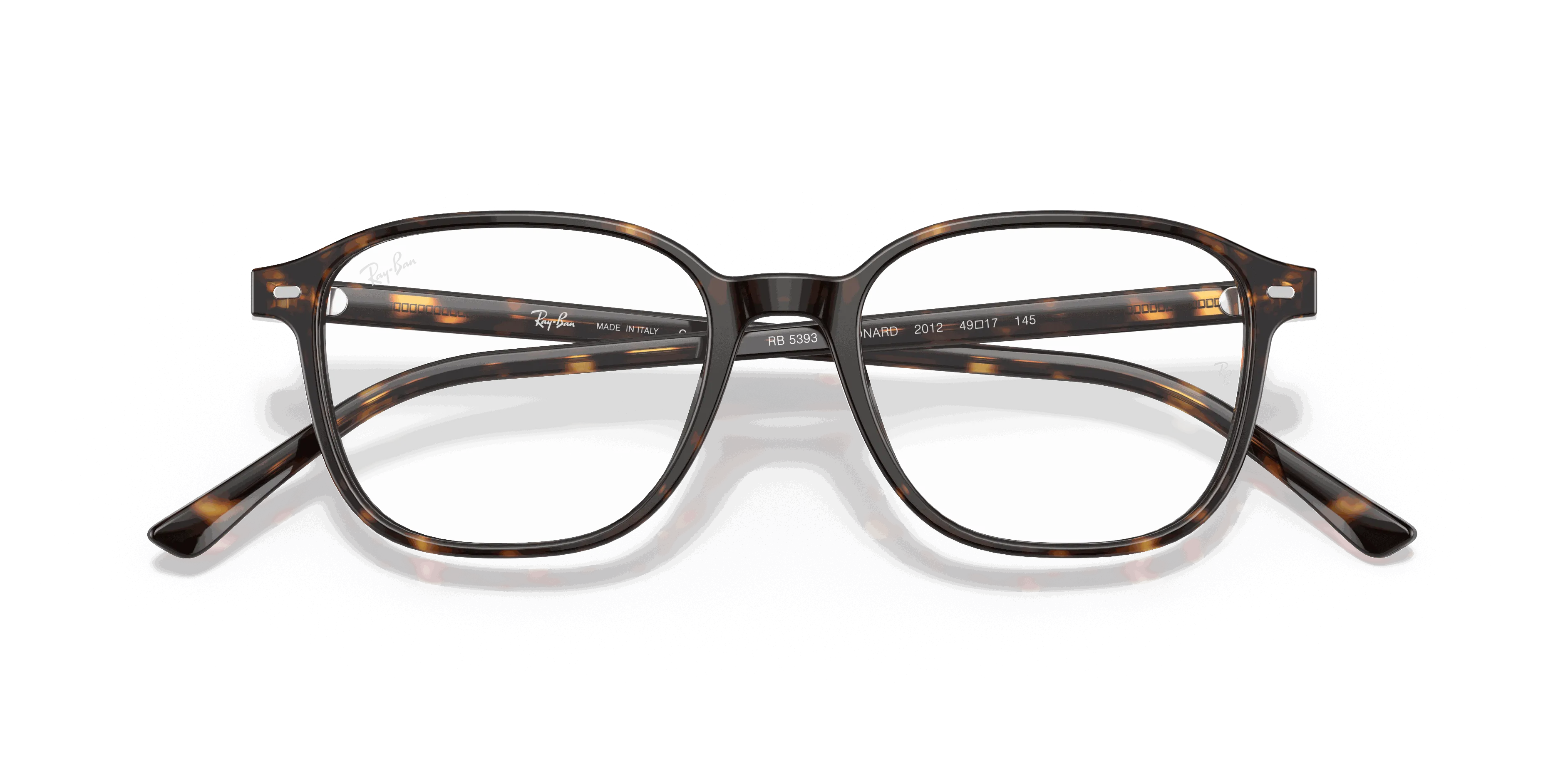 RayBan LEONARD OPTICS