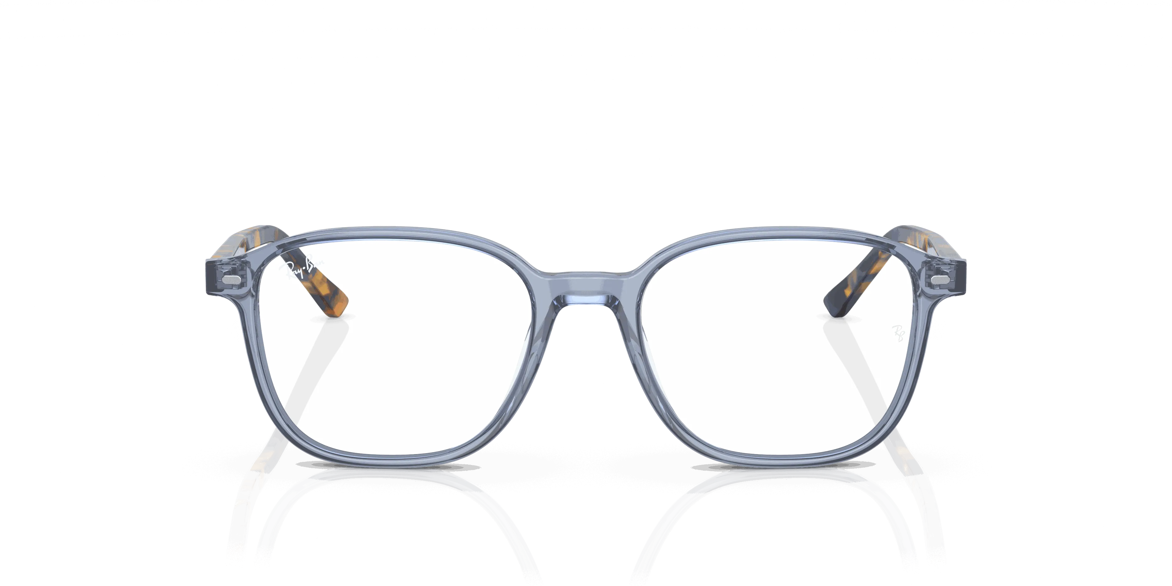 RayBan LEONARD OPTICS