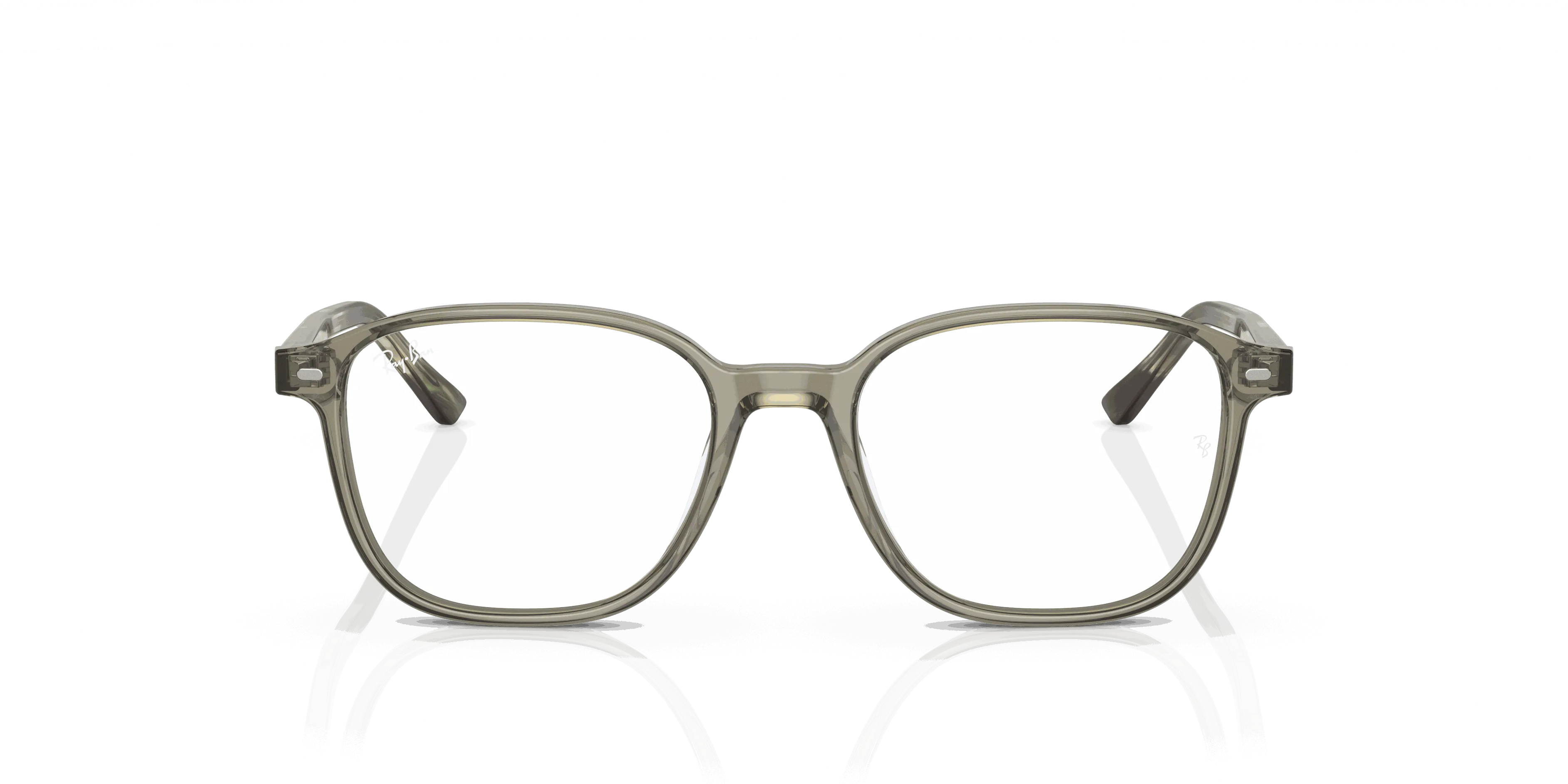 RayBan LEONARD OPTICS