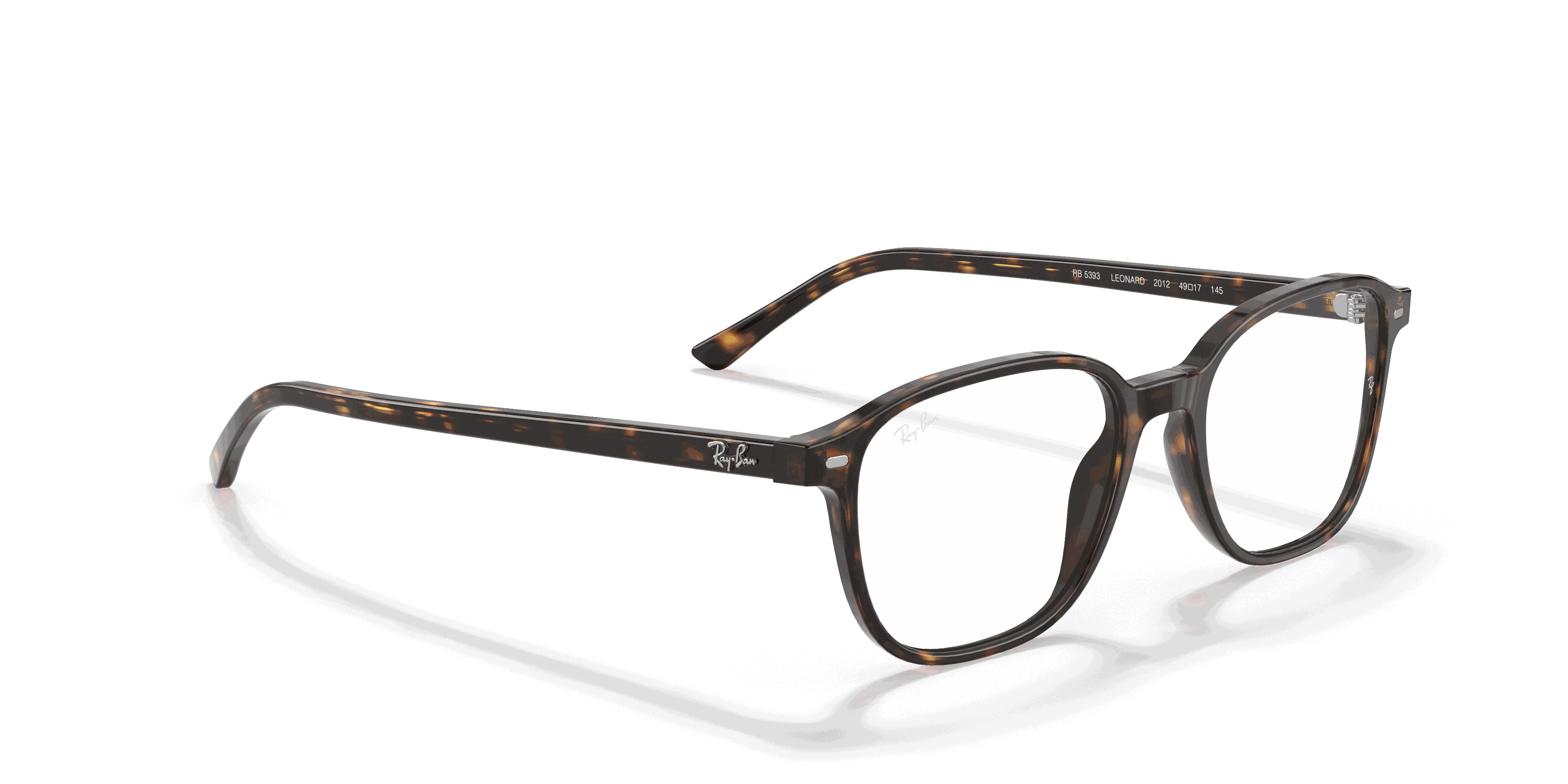 RayBan LEONARD OPTICS