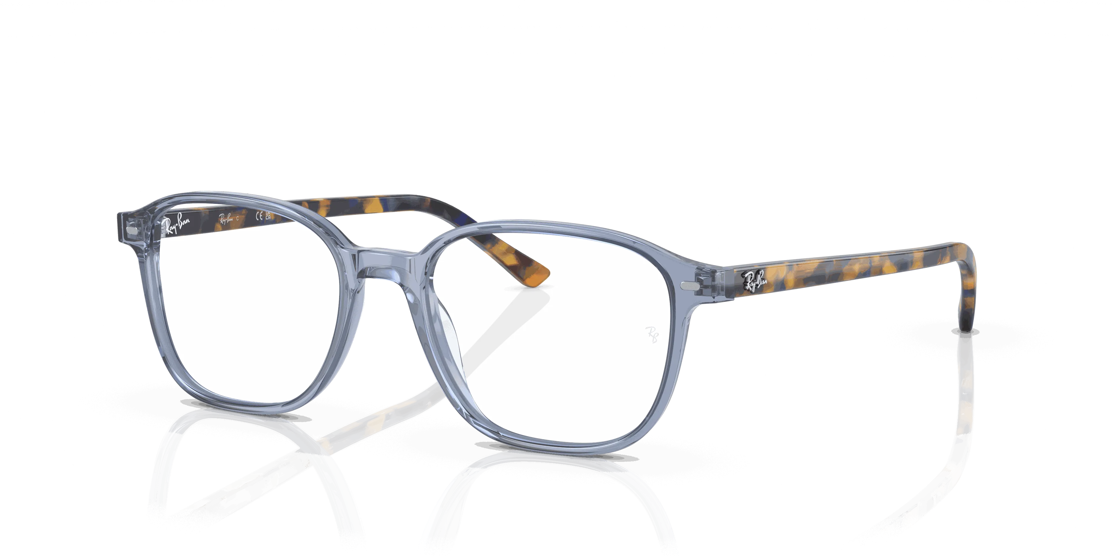 RayBan LEONARD OPTICS