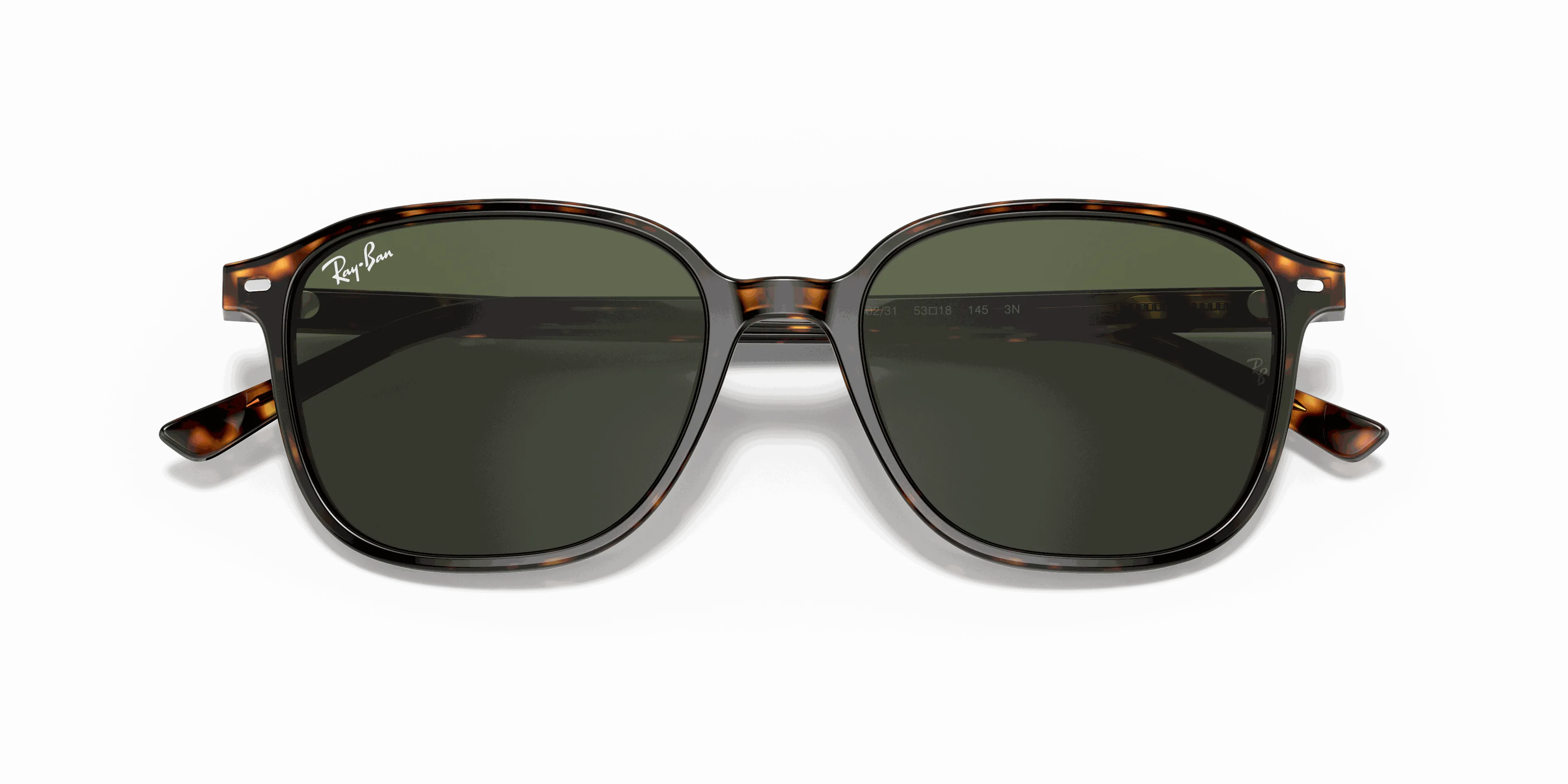 RayBan LEONARD