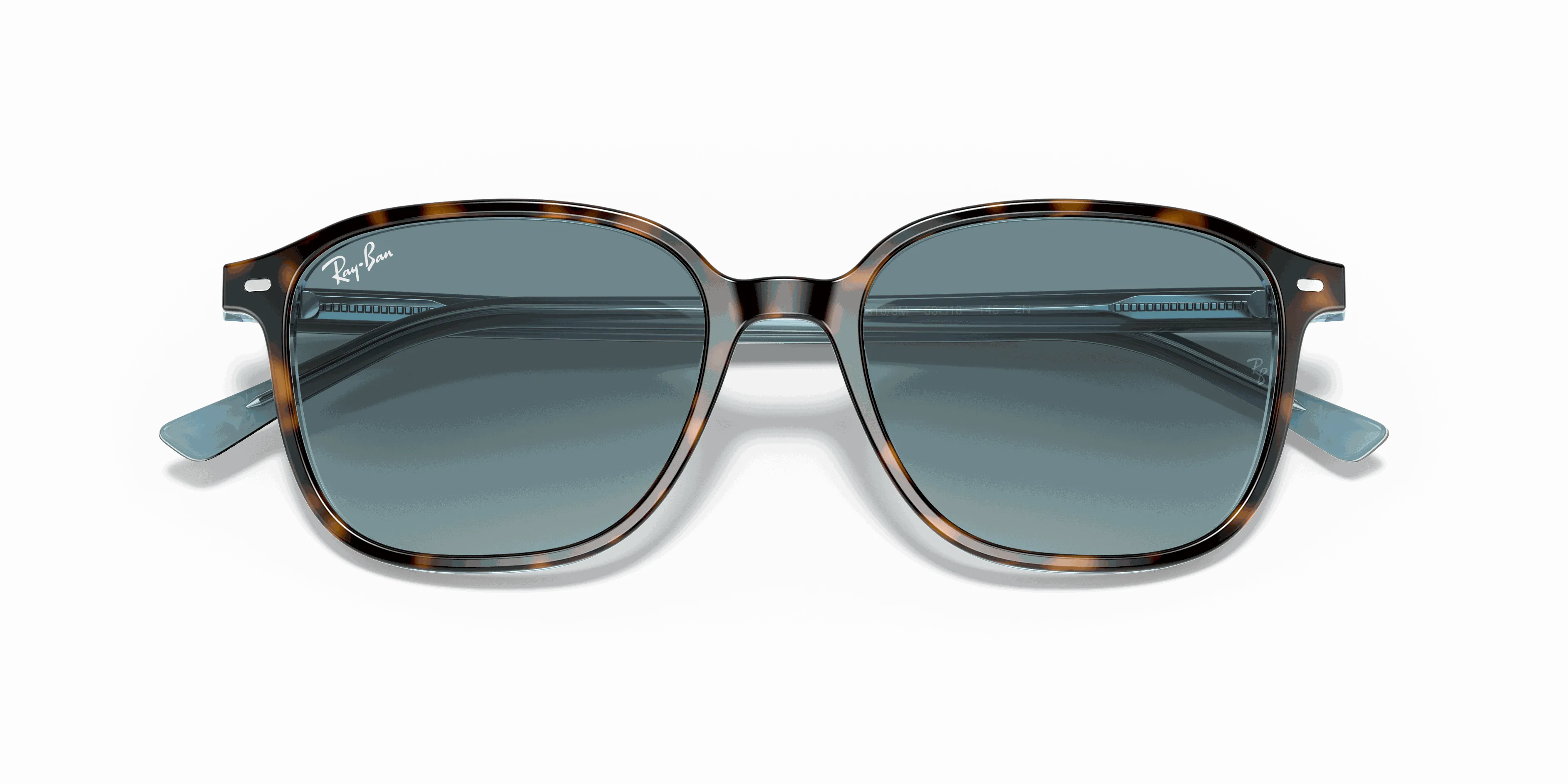 RayBan LEONARD