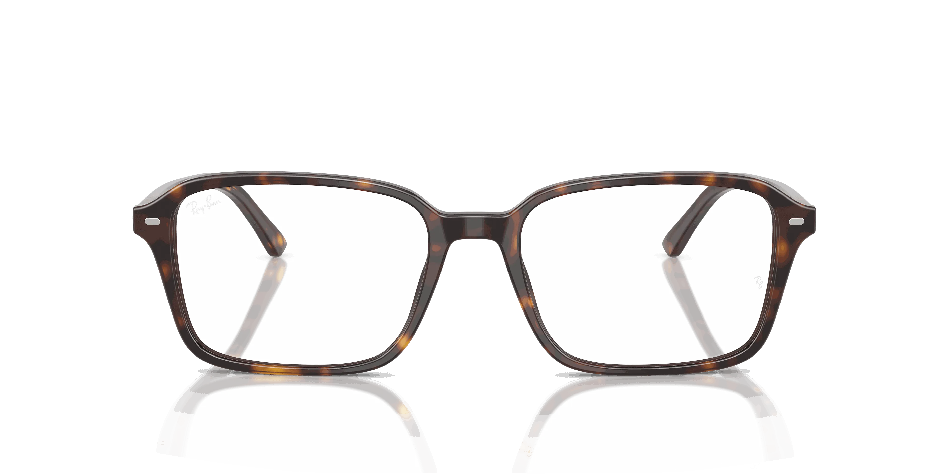 RayBan RAIMOND OPTICS
