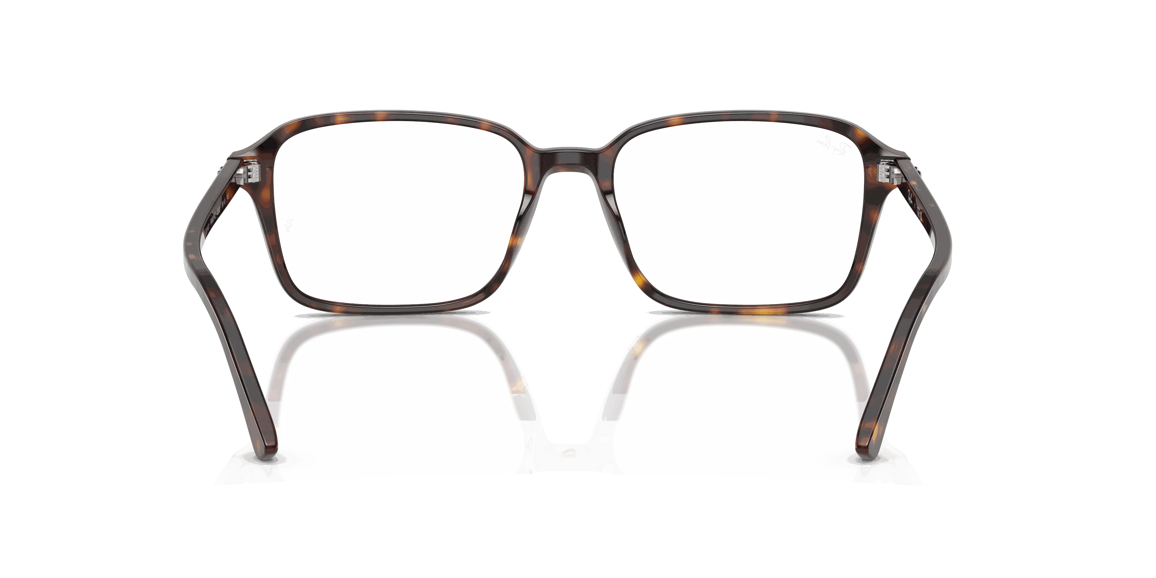 RayBan RAIMOND OPTICS