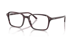 RayBan RAIMOND OPTICS