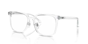 RayBan RB5419 OPTICS