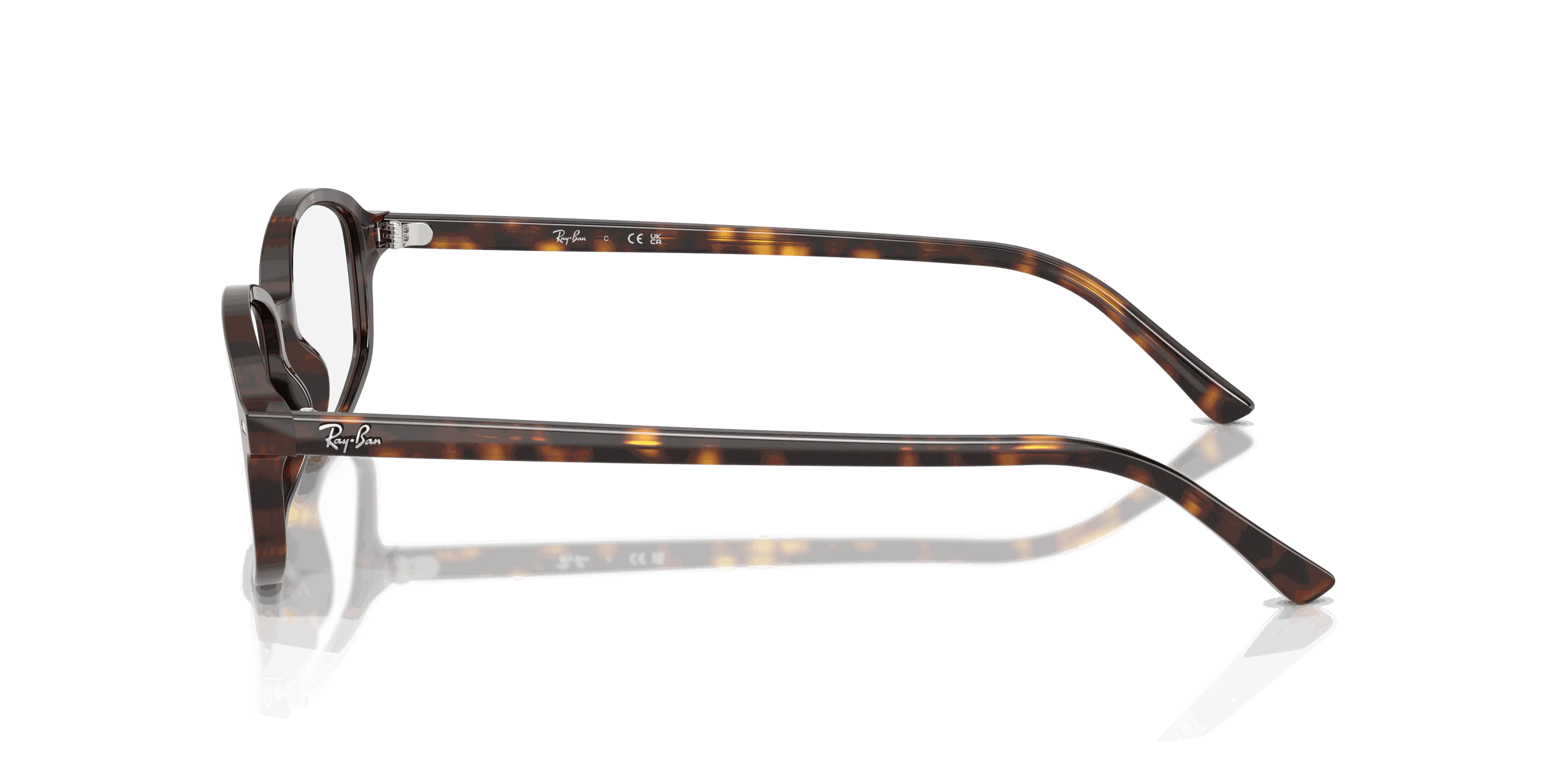 RayBan SAM OPTICS
