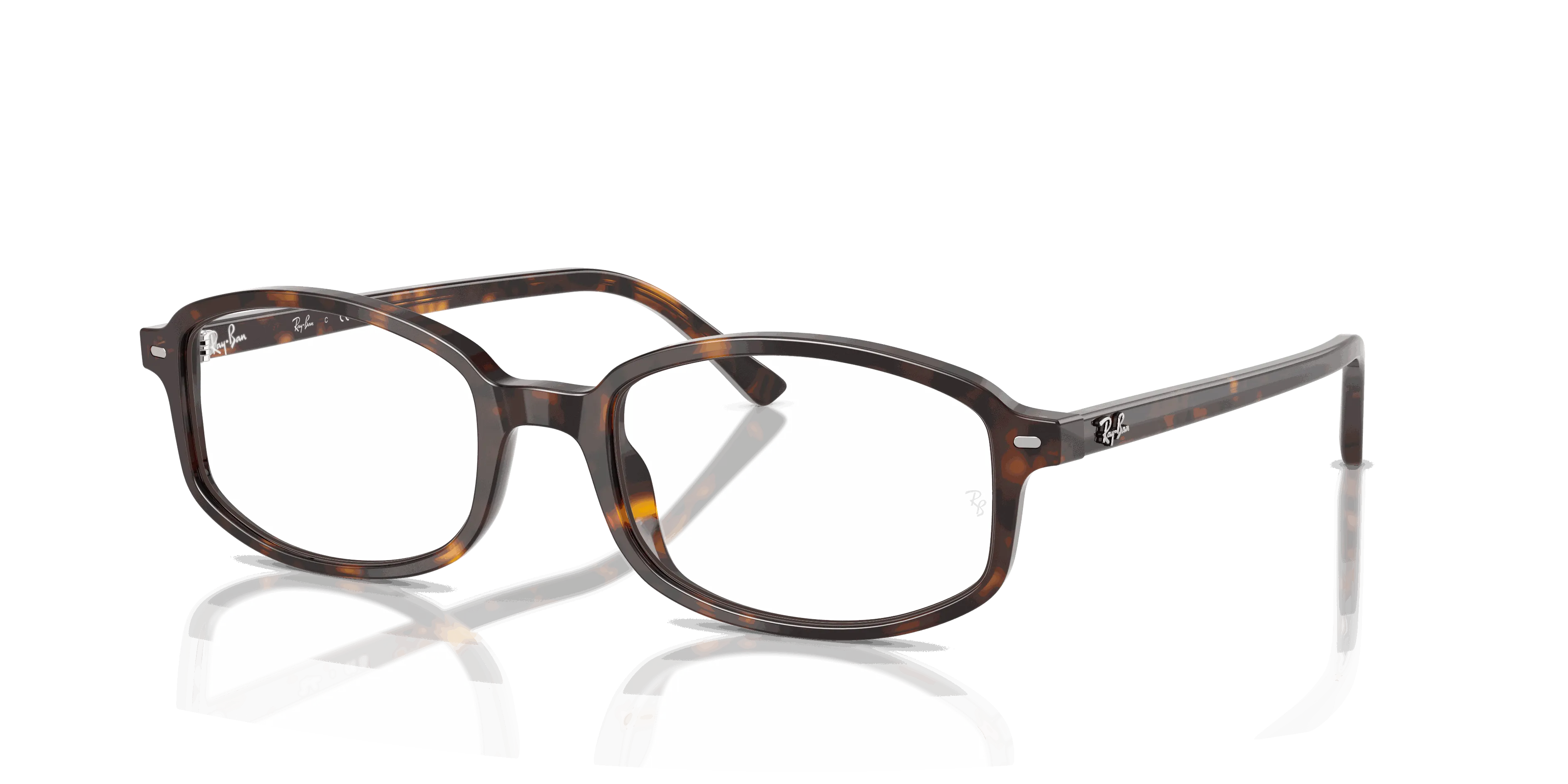 RayBan SAM OPTICS