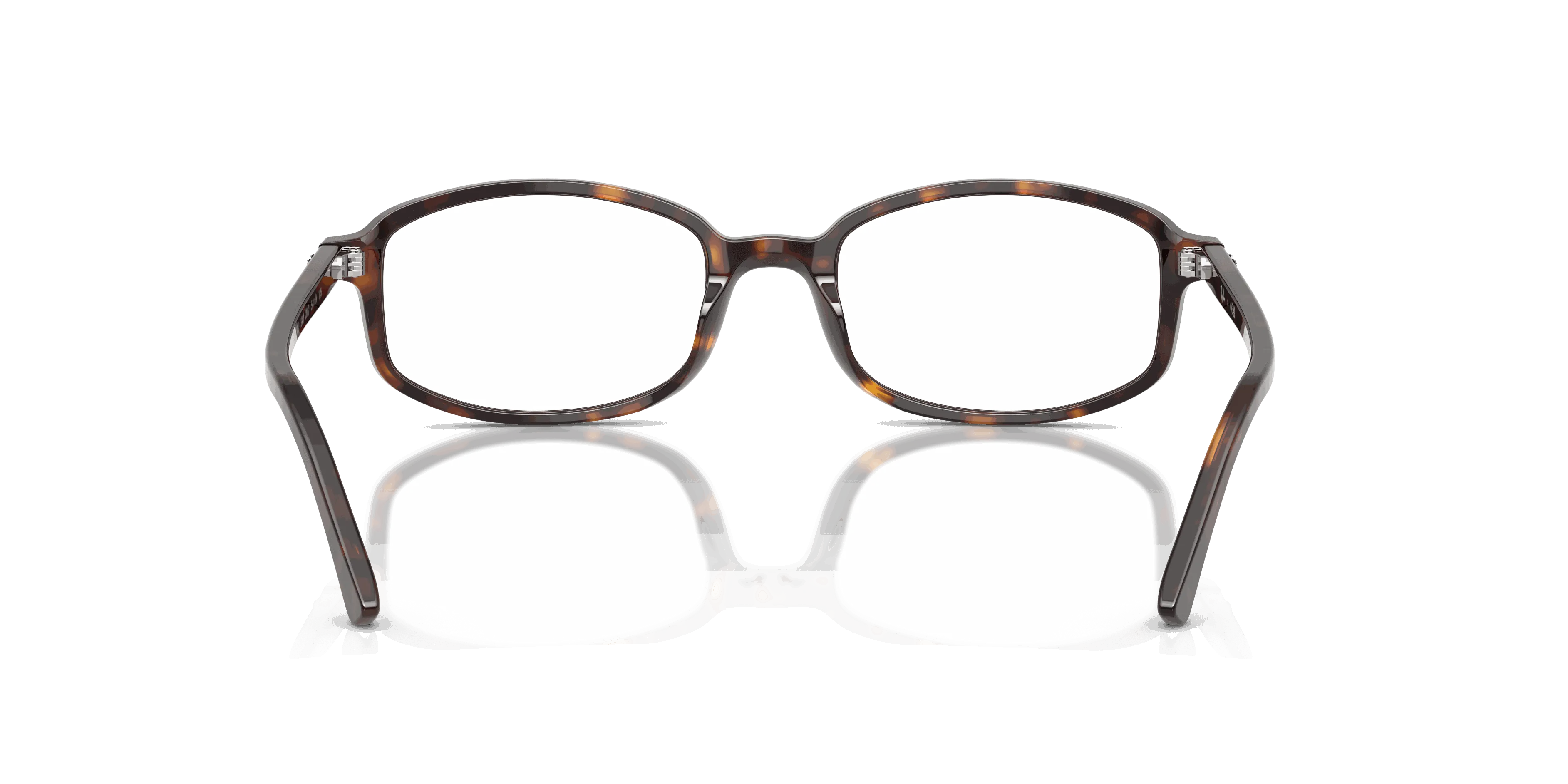 RayBan SAM OPTICS