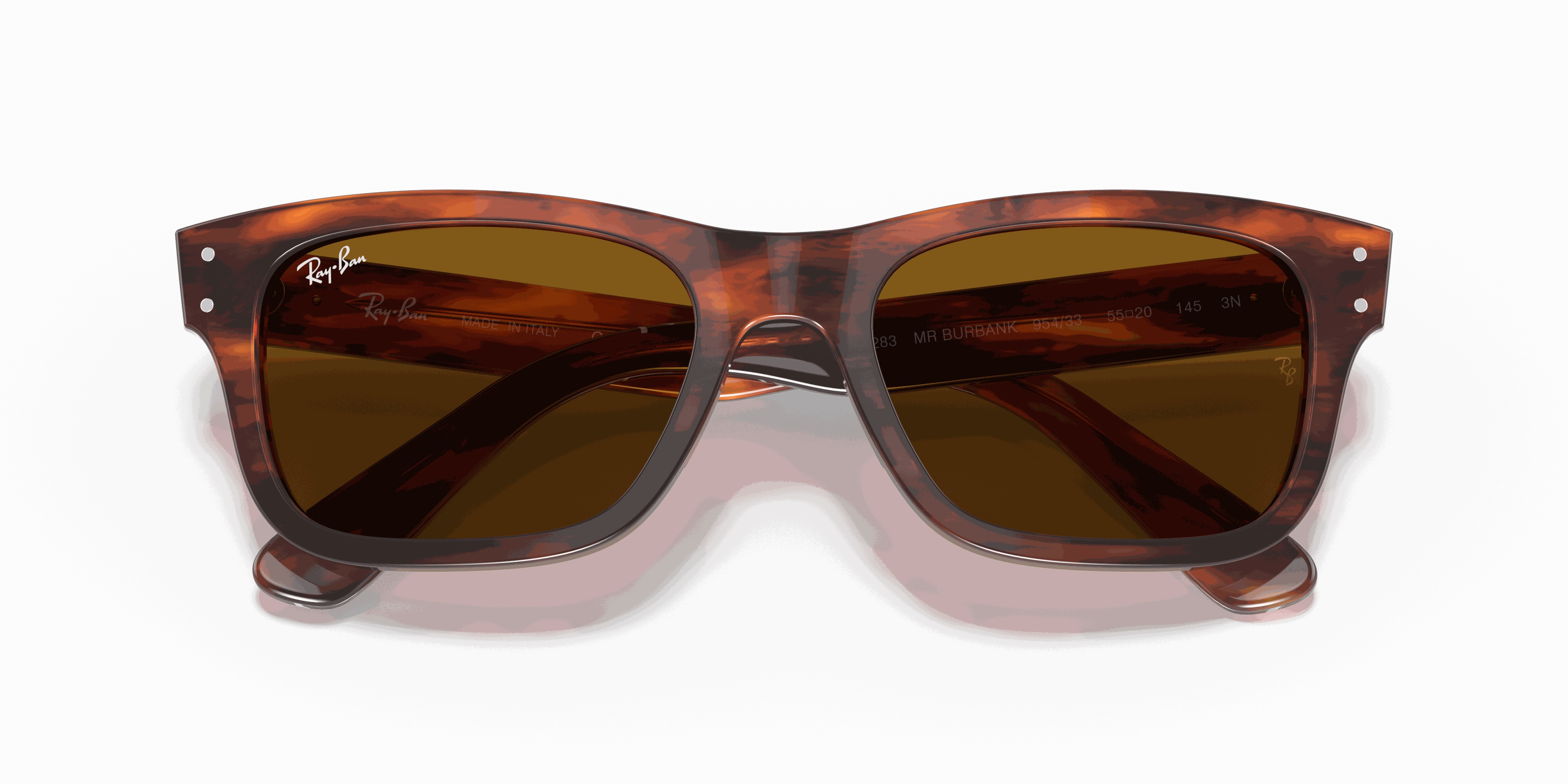 RayBan BURBANK