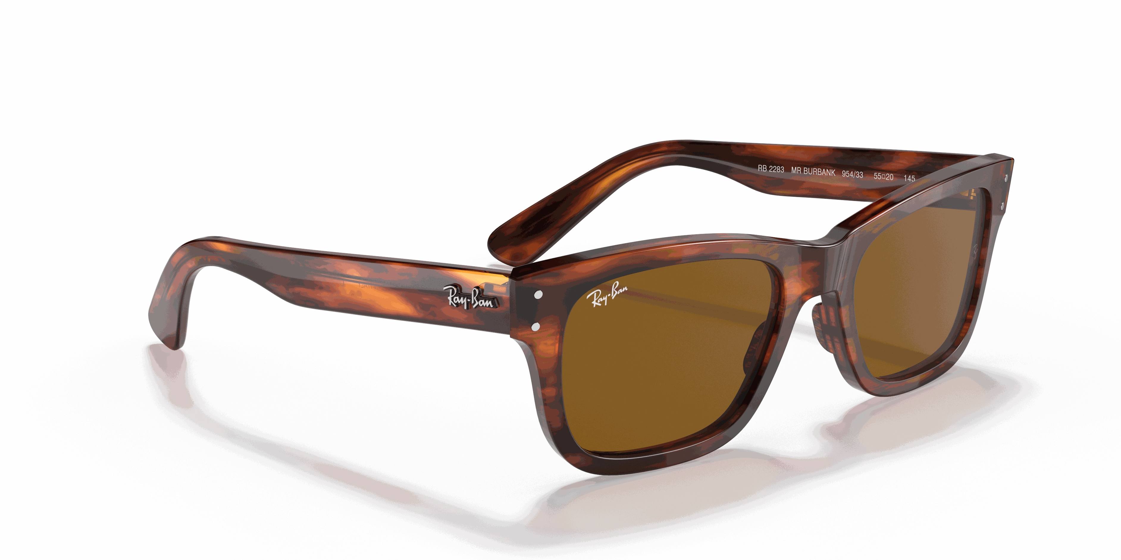 RayBan BURBANK