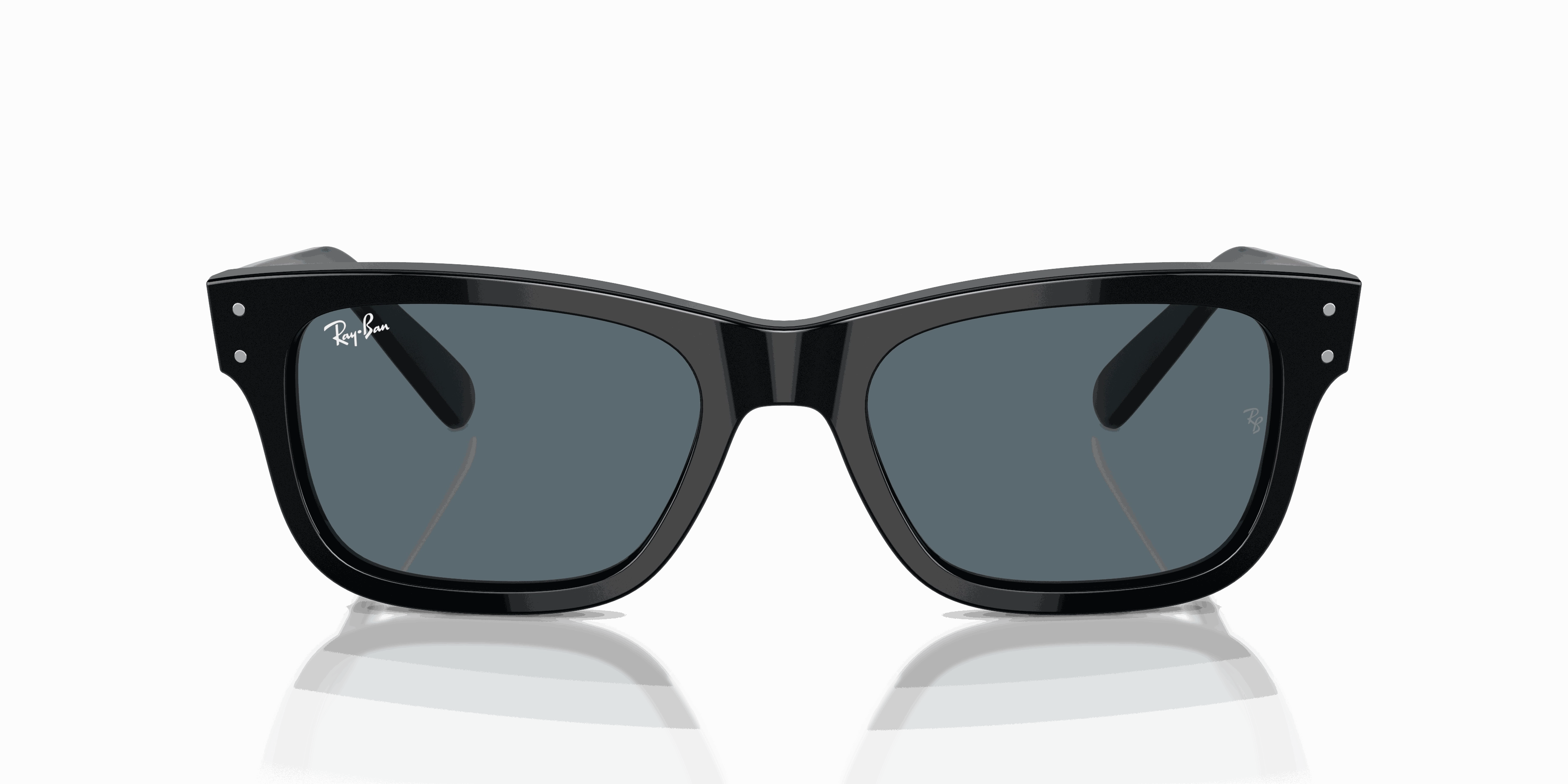 RayBan BURBANK