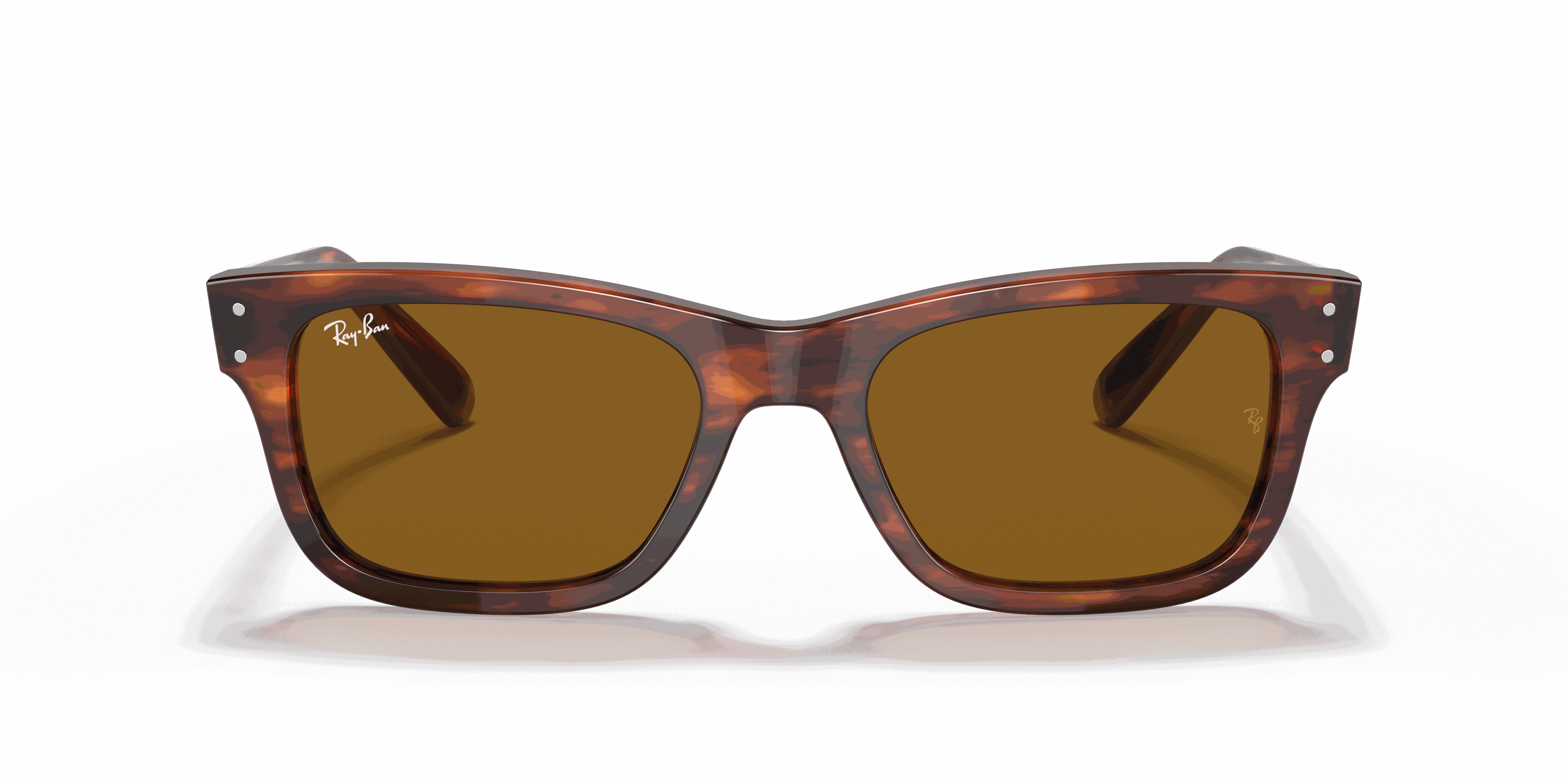RayBan BURBANK