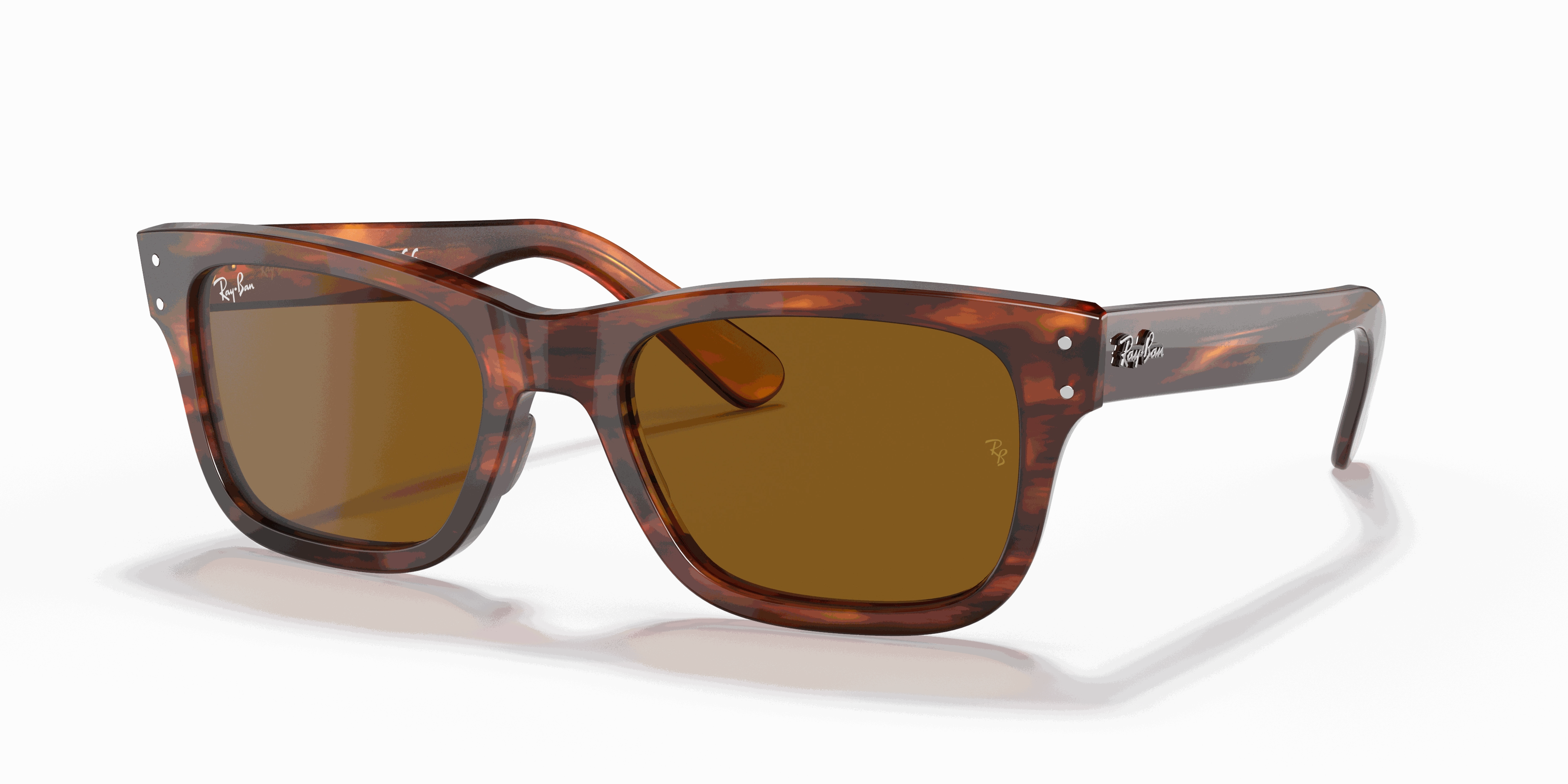 RayBan BURBANK