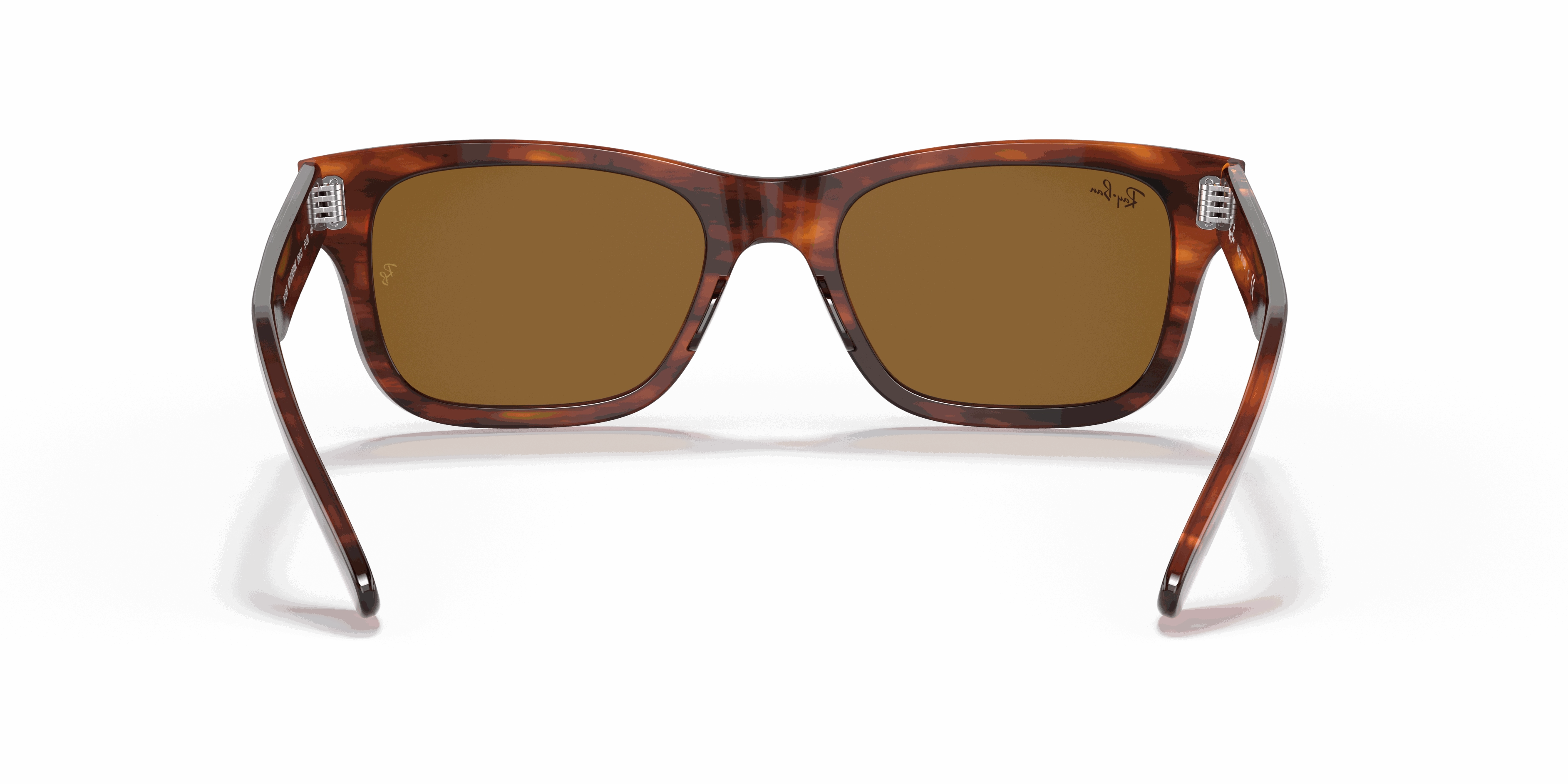 RayBan BURBANK