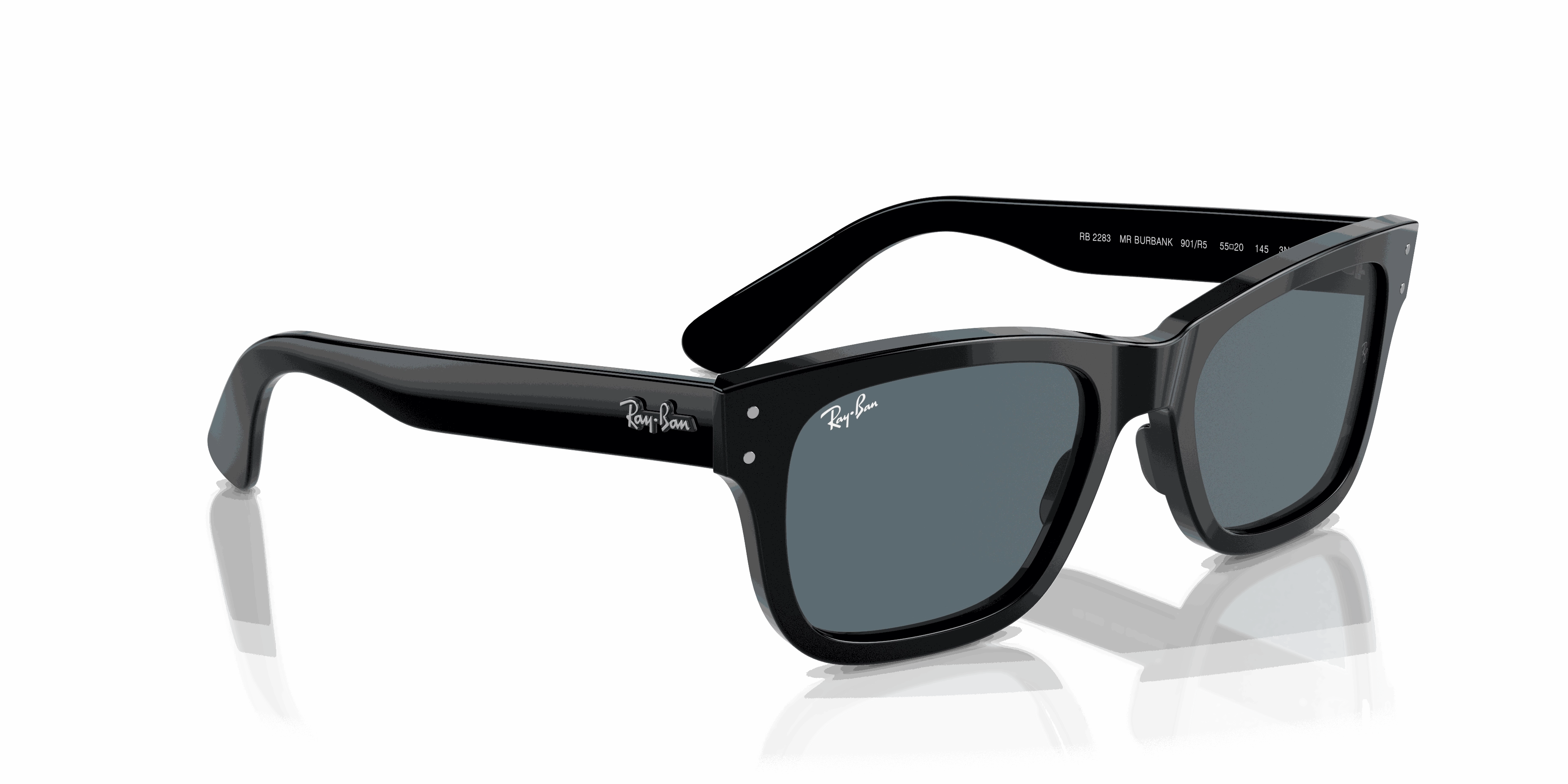 RayBan BURBANK