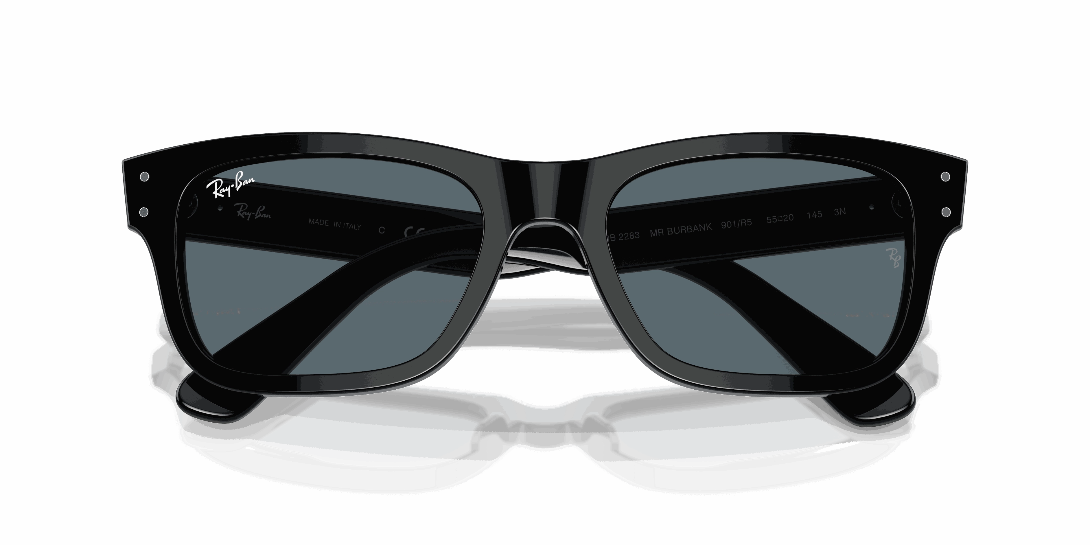 RayBan BURBANK