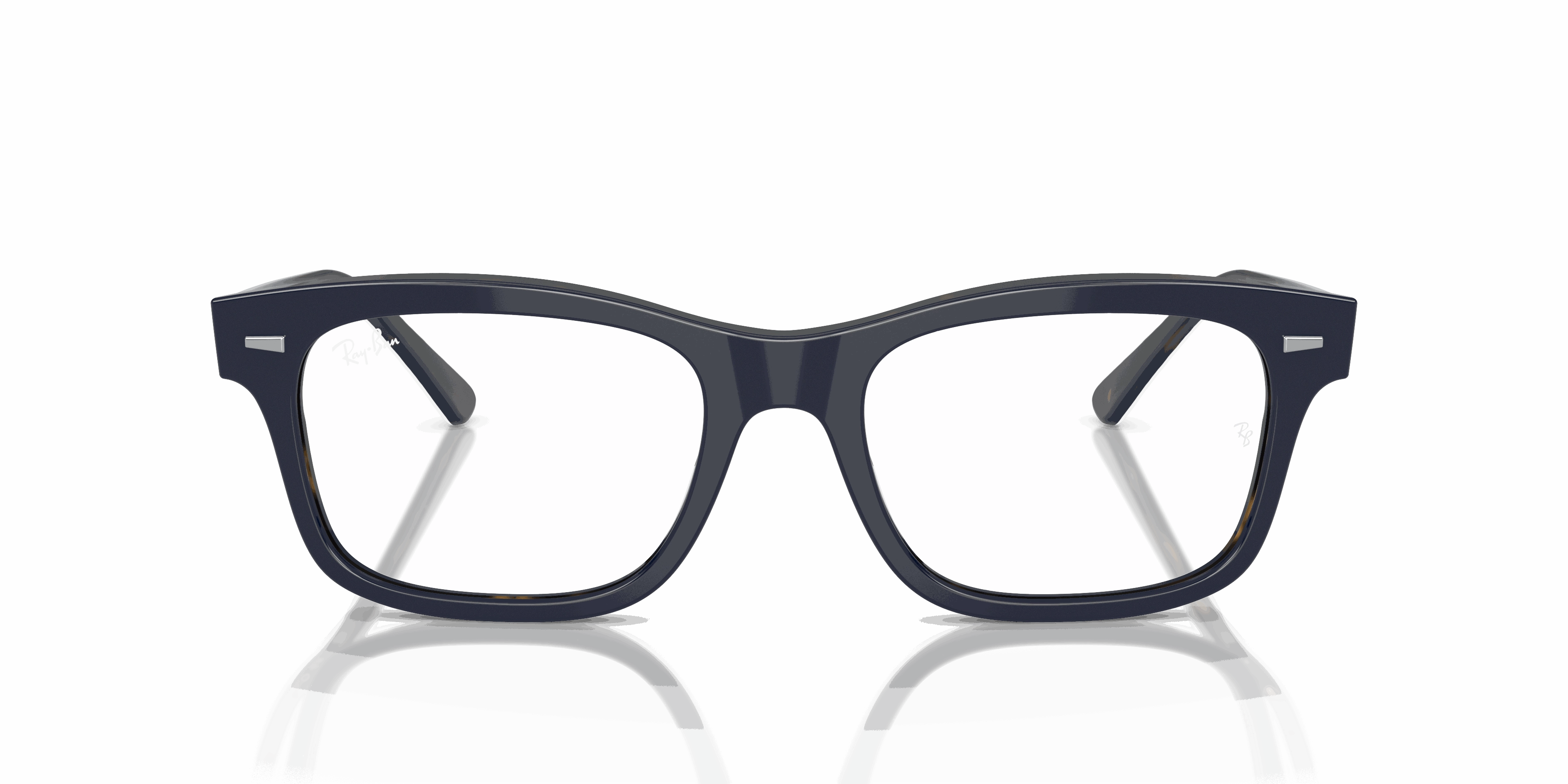 RayBan BURBANK OPTICS