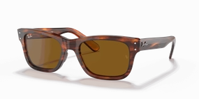 RayBan BURBANK