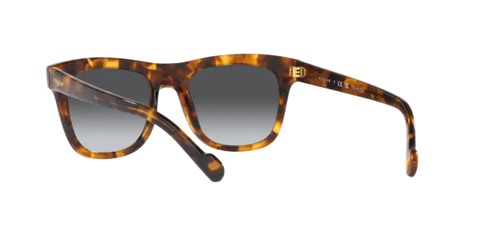 Vogue Eyewear VO5465S 2819T3