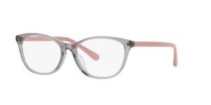 Vogue Eyewear VO5502D 2820